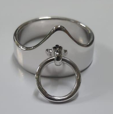 bdsm mens cock ring jewellery for fun.