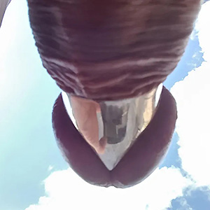 extra long heavy cock ring