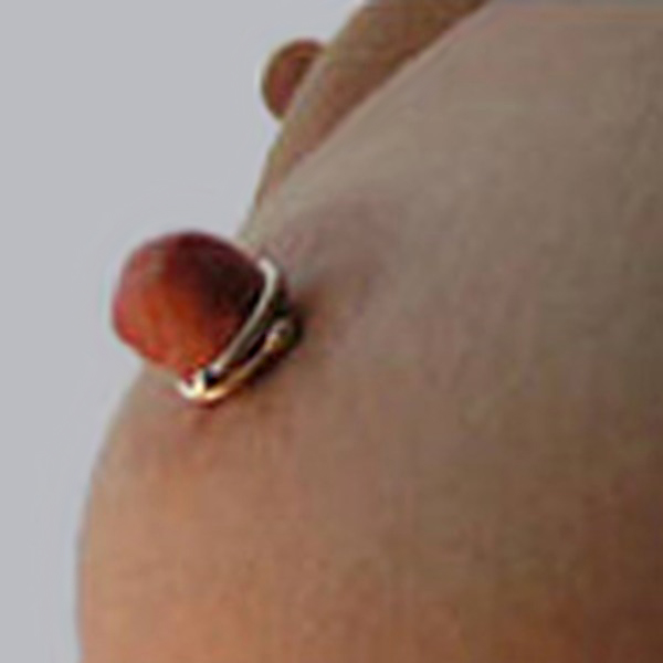 Smooth silver nipple rings worn as elegant breast adornment